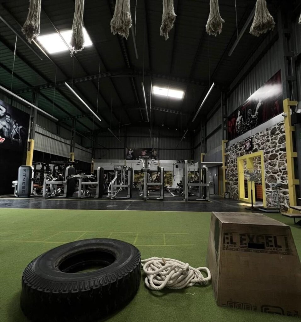 Functional training turf with tyre, ropes and plyo box at Muscle Time Fitness